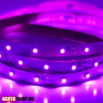   Светодиодная лента SMD 3528 (60 светодиодов) пурпурный (2шт.)